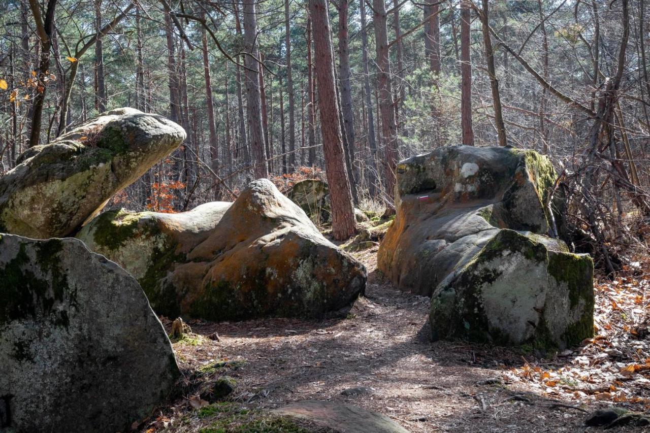 Logisfontainebleau Bed and Breakfast Villiers-sous-Grez Eksteriør billede